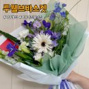 투웰브바스켓 이미지
