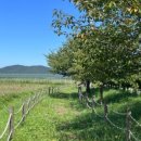 백령도서관 이미지