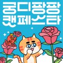 건강한펫 이미지