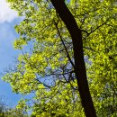 오마주유소 이미지