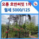 하나아파트 앞 횡단보도 이미지