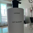 센트메이드(SCENTMADE)