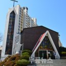 함평 천주교회 이미지