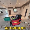 지니어스데코