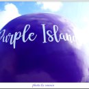 전라남도 신안군 안좌면 퍼플교 이미지