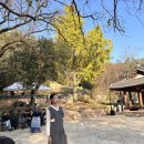 남도한복 이미지