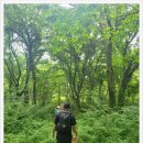 올레캠프본점알파캠프 이미지