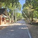 중앙역사공원(서쪽) 이미지