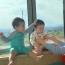 고고링 키즈풀빌라 이미지