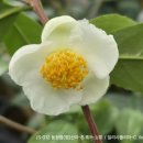 (유)현유 이미지