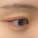 이든 | [서울/중랑구] 속눈썹 맛집 이든 솔직후기