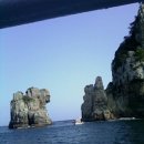 펜션비우고채우는숲 이미지