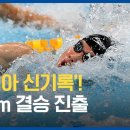 황선우, 아시아 기록 깼다! 자유형 100m 결승 진출 이미지