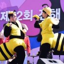 땡벌 Daum카페