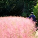 곰배령가든 이미지