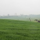 내리목장 이미지