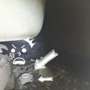 동백 죽전대로1 이미지