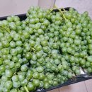 엄마네농장 이미지