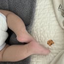 종달새체육관 | 93일