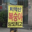 포레스트리 이미지