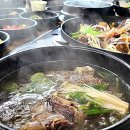 달구씨 이미지