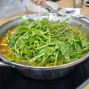 오리마을 샘물막국수 | 과천 렛츠런파크 벚꽃축제 한식 맛집 정리 BEST 5 네이버 지도 공유