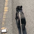 쁘띠멍살롱 이미지