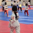 선운 태권도 이미지