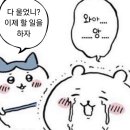 김&주 카오토플러스 | 일본 일기] 일본은 치이카와에 미쳐있ㄷr。치이카와 극장판 후기+굿즈ちいかわ 人魚の島のひみつ 먼작귀짱