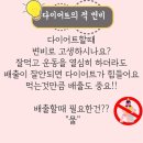 카페오드리 - 제주시 한창로 1294 | 카페오드리