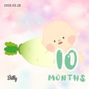 순풍동물병원 | 주간일기 02.23-03.01 봄보다 큰손님(임신 36주차)