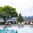 제이제이트레블 이미지