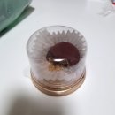 팔탄 다농식자재마트 두쫀쿠 두바이쫀득쿠키 후기(내돈내산)
