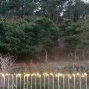 소더스111 이미지