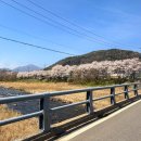 로영 | 남양주 애견카페 추천 로영｜대성리 드라이브 코스 감성 카페