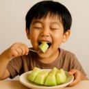 멜론 | 예리미 고당도 달콤하고 부드러운 식감 미국산 허니듀 멜론 후기