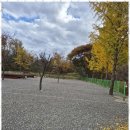 가평 용소폭포 펜션 이미지