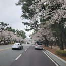 2024 봄의왈츠 이미지