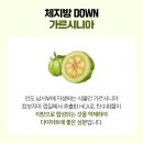 [창원 중앙동 헬스장 / 창원 중앙동 피티 / 창원 24시 헬스장]보조제, 그게 진짜 효과가 있긴 해요?