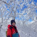 메가카정비 | [공지] 발왕산 눈꽃산행 케이블카 cctv 할인 예약 정보