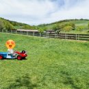 경운목장 이미지