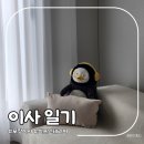 신혼집 이사일기 아정당 포장이사 후기 일상기록