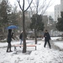 가족뮤지컬<아기돼지삼형제> 이미지