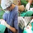 아이엠치과기공소 이미지