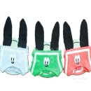 구피애견 이미지