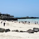 해밀날오후 이미지