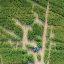 혜연농장 이미지