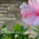 올인 다들 아시져 그리고,,,,,, 이미지