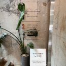 썬앤포레스트 이미지