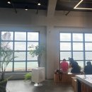 숨은 숲에서 감각을 열다. | 제주 살이 후기 2탄 - 제주도 애월 핫플, 숨은 감성 카페, 책방 추천 TOP7 (내돈내산)